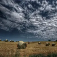Comptes de l'agriculture