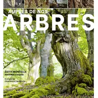 Les arbres ont été de tous temps précieux pour l'humanité