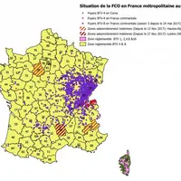 Situation de la FCO en France métropolitaine au 8 février 2018