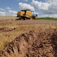 Difficile reprise de la moisson de l'orge de printemps dans l'Oise, selon l'Earl Loisel.