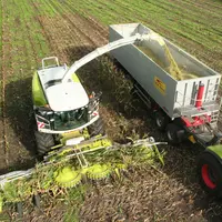 Ensilage des maïs