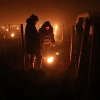 De nombreux arboriculteurs et viticulteurs ont passé la nuit debout à tenter de protéger leurs cultures face au gel.