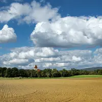 paysage agricole