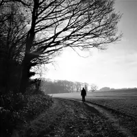 Homme seul dans les champs