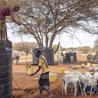 sécheresse au Kenya (Afrique)