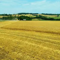 Moisson 2021
