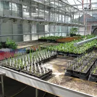 Laboratoire de biotechnologie végétale et de sélection de variétés de céréales à paille.