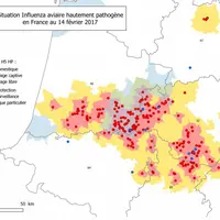 Localisation des foyers d'Influenza aviaire H5N8 et H5HP au 14 février 2017