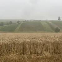 Année 2021 catastrophique