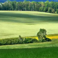 Prix des terres agricoles en 2020