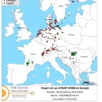 Foyers de H5N8 HP déclarés depuis le 26 octobre
