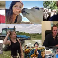 Réseaux sociaux 5