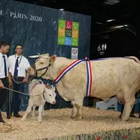 salon de l'agriculture
