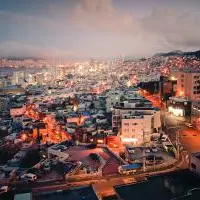 Port de Busan en Corée du Sud.  Une vingtaine de pays d'Asie, d'Afrique, du Moyen-Orient et autres ont fermé leurs portes, à des degrés divers, aux an