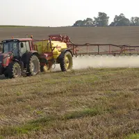 Roundup