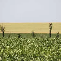 biodiversité