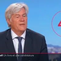 Stéphane Le Foll, ex-ministre de l'Agriculture (2012 à 2017), a déclaré le 25 août sa candidature à d'éventuelles primaires socialistes.