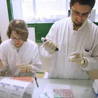 LNR de Ploufragan- Les virus H5N8 HP du sud-ouest proviendraient d'Europe Centrale (Hongrie, Croatie)