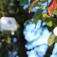 Weenat dévoile son nouveau capteur d’humectation foliaire mobile et connecté pour optimiser les interventions phytosanitaires et mieux protéger vignes