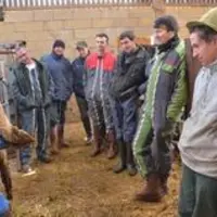 La formation des éleveurs à la détection précoce et aux premiers gestes de parage est essentielle.