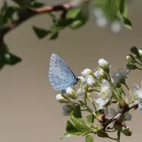 biodiversité