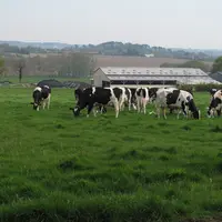 paysage agricole en Bretagne