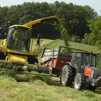 salariés agricoles au travail