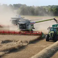 Moisson blé Allemagne