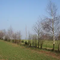 plantation haie bocagère