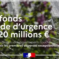 fonds d(urgence