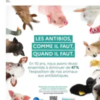 campagne 2022