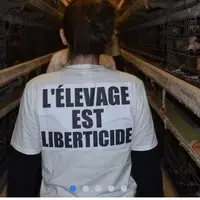 boucherie abolition intrusion vegan