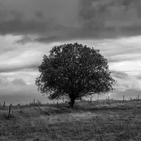Campagne