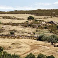 terres agricoles