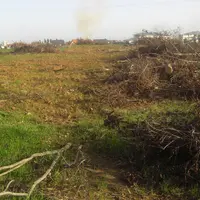 Destruction haie