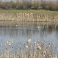 Bassin de rétention en basse-Normandie