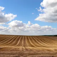 Comptes de l'agriculture 2021