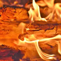 Feu de bois
