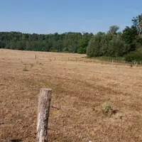 prairies sécheresse élevage de ruminants