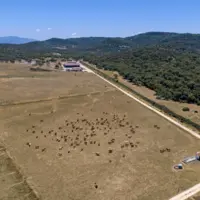 pâturages desséchés en Espagne