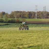 Pulvérisation de glyphosate.
