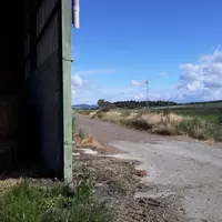 Antenne relais 4G Haute Loire vaches laitières