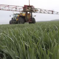 Traitement herbicide céréales