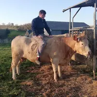 Yannick Vitré, les Blondes de Yannick de Tik Tok