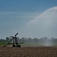 irrigation de cultures pendant la sécheresse