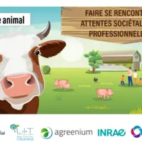 bien-être animal