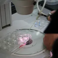Les laboratoires vétérinaires ont des compétences sur les pandémies, sur la mise en place de tests à grande échelle et sur les coronavirus. Ils n’atte