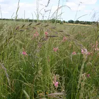 jachère agricole