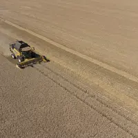 agriculture