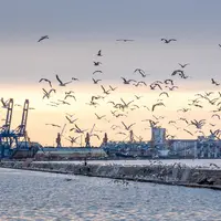 Port d'Odessa en Ukraine